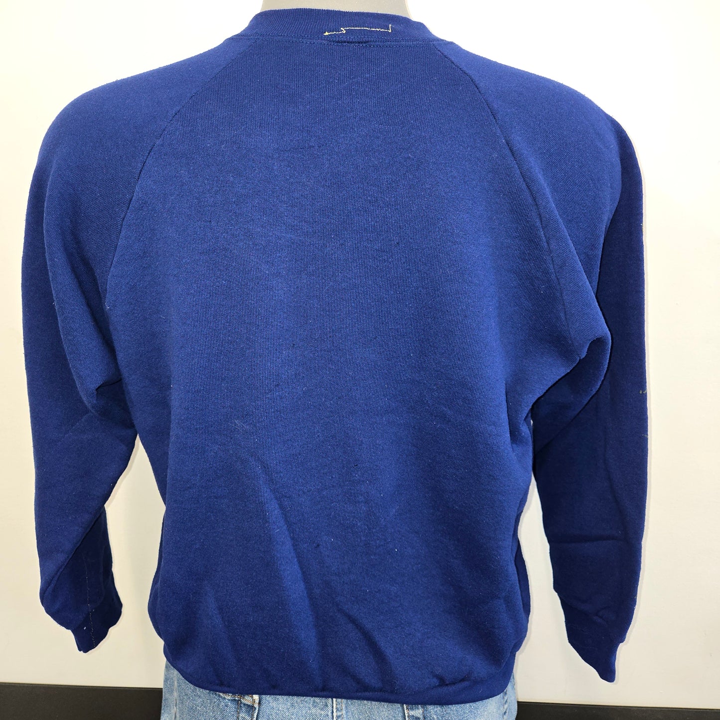 Painted Past Distressed Painted Collegiate Raglan Crewneck Sweatshirt sz L in Faded medium blue