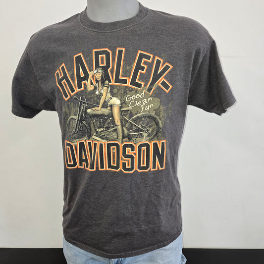 Vintage Harley-Davidson Good Clean fun York T-shirt sz L